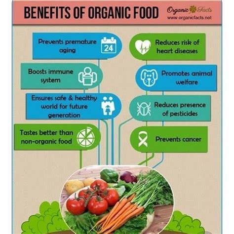 Organic Food: is it worth the cost? | Organic recipes, Organic fruits ...