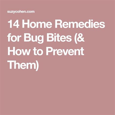 14 Home Remedies For Bug Bites And How To Prevent Them Bug Bites