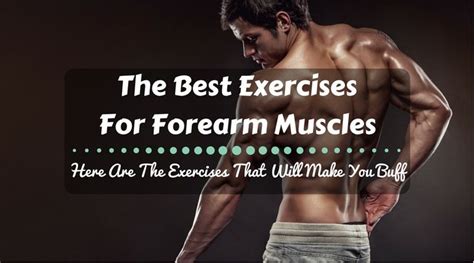 What Are The Best Exercises For Forearm Muscles Here Are The Exercises
