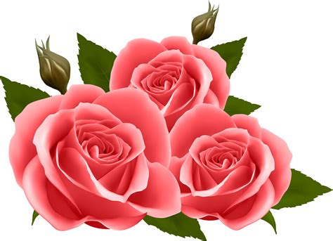 Rose Clipart Rose Clip Art Roses Png My XXX Hot Girl