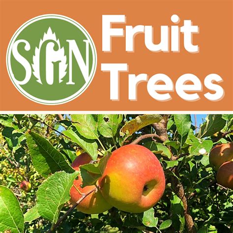 Fall Fruit Trees Spring Grove Nursery