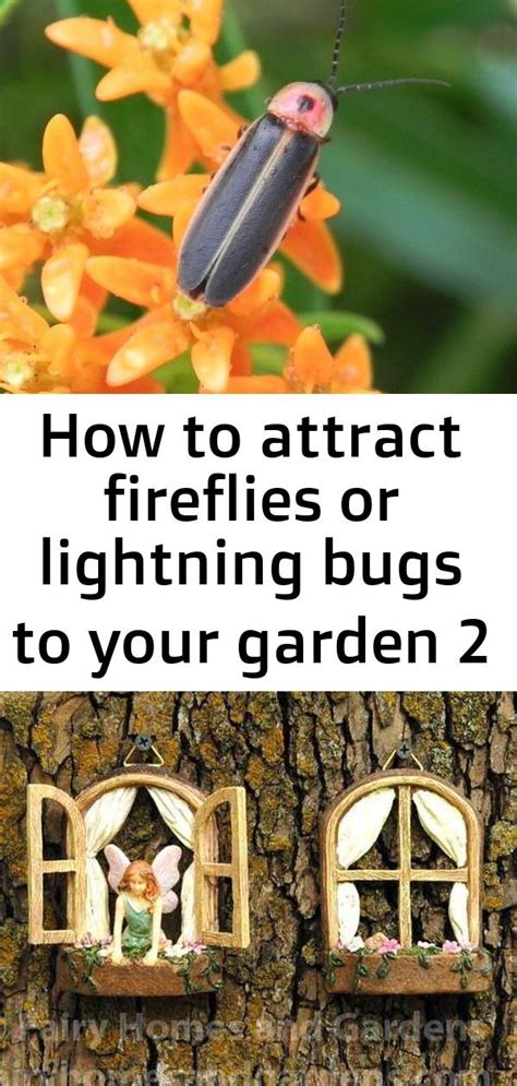 How To Attract Fireflies Or Lightning Bugs To Your Garden Lightning Bug Garden Soil Hypertufa