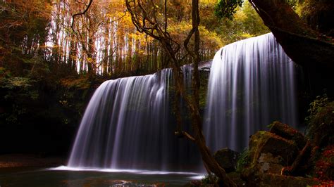 Forest Hdr Waterfalls Wallpaper