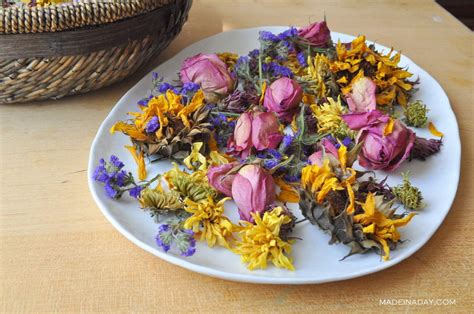 But opting out of some of these cookies may have an effect on your browsing experience. Oven Dried Flowers | Made in a Day