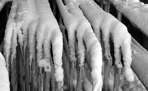 Frozen Fingers Photograph By David Riffle Pixels