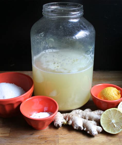 Ginger Beer Ingredients Phickle