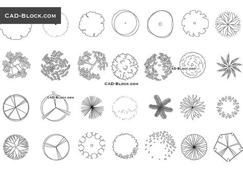 Trees For Landscaping Plan Cad Blocks Free Download Autocad Models