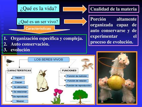 Ppt Funciones Vitales De Los Seres Vivos Powerpoint Presentation 3ab