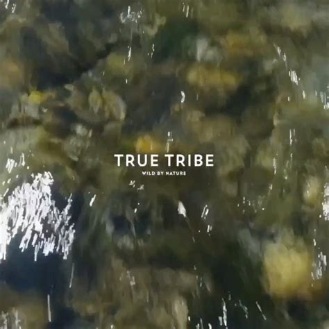 True Tribe On Instagram “free Spirit Wildbynature”