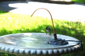 Ensure the bird bath has a gradual slope and secure there are many options for immersion water pumps, drippers, and heaters using electricity. Misters And Birdbath Drippers | Unique Birdhouse Boutique