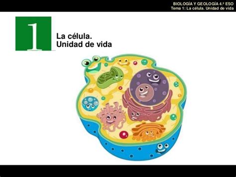 Tema 1 La Celula Unidad De Vida
