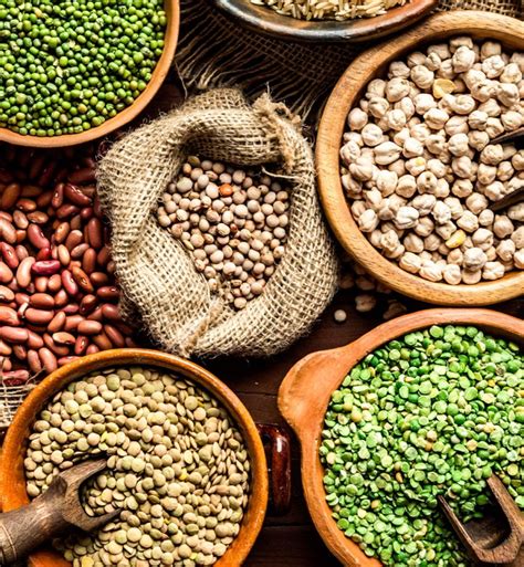 the 10 healthiest beans you can eat according to a dietician world indipendent