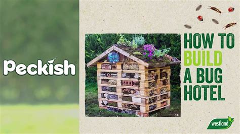 So what do you need to build a palace hotel? How to build a bug hotel - YouTube