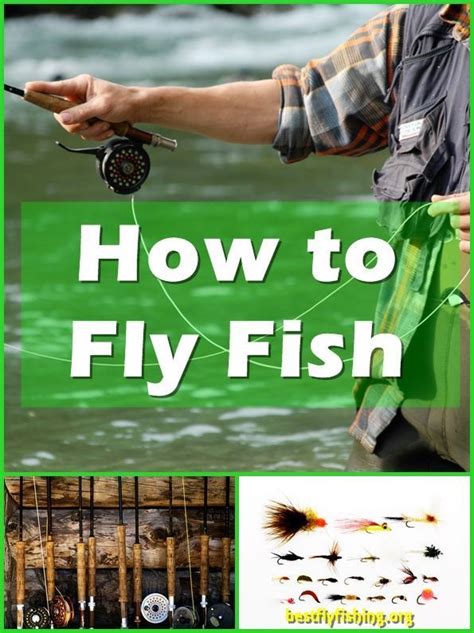 Tips On Learning How To Fly Fish Fly Fishing Fishing Techniques Fly