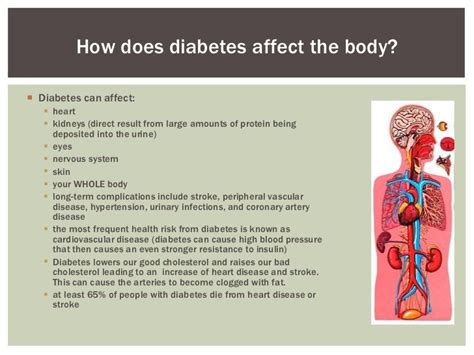 Diabetes Type 2 Is A Pathological Condition Which Affects Most Of The