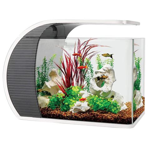 5 Gallon Home Arc Fish Tank Kits For Starters Hygger