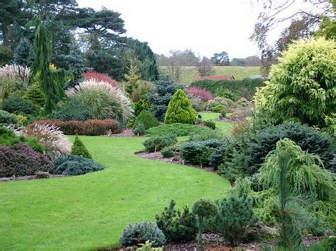 The Benefits Of Evergreens For A Beautiful Landscape
