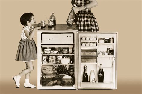 What Was There Before Refrigerators How Did We Store Our Foods Liebherr