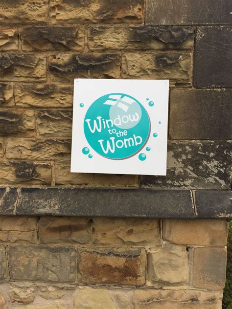 Pin By The Original Window To The Wom On Sheffield Window To The Womb Book Cover Womb