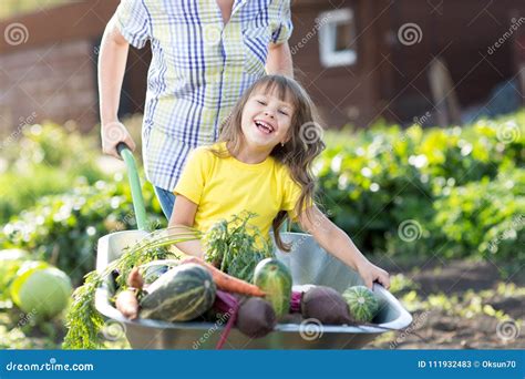 Woman Pushing Her Kid Daughter In A Wheelbarrow Filled Vegetables In