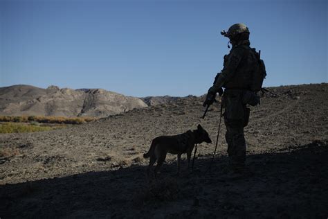 2 2 Cavalry Regiment Observes And Assists Ansf In Kandahar Article