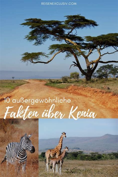 10 Außergewöhnliche Fakten über Kenia Kenia Kenia Urlaub Afrika Reisen