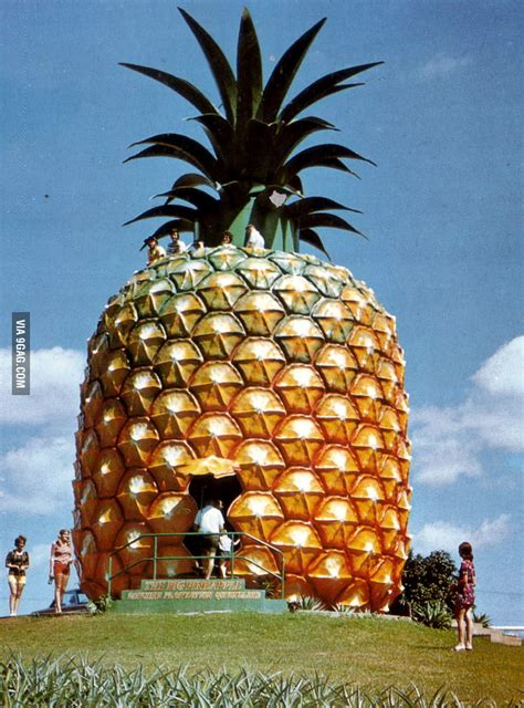 Its Real Spongebobs House In Nambour 9gag