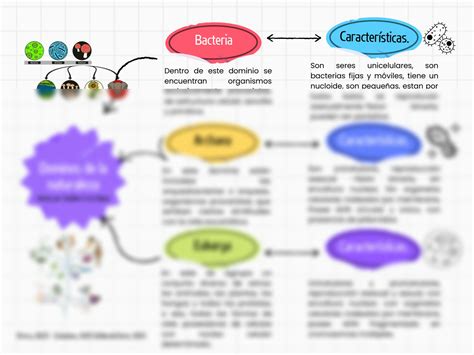 Solution Cuadro Sin Ptico De Las Caracter Sticas De Los Tres Dominios