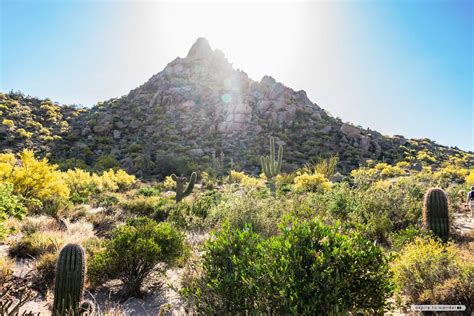 Pinnacle Peak Park An Easy Hike And Pretty Views In Scottsdale Arizona