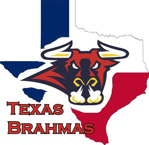 Texas Brahmas Mid West Old Tyme Hockey League