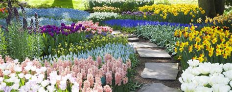 It is for those of us who appreciate the innocent beauty, sweet playfulness & fun that is inherent in cute. 5 Most Beautiful Gardens in the World You Must Experience