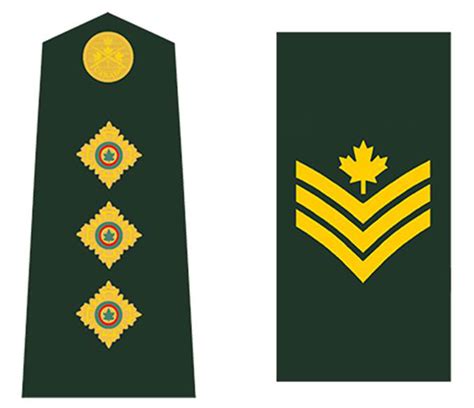 Grades Et Insignes De Larmée Canadienne Canadaca