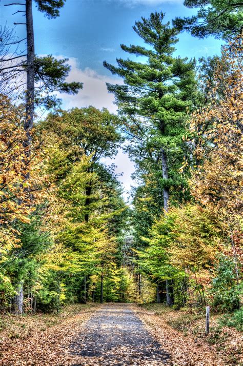 Autumn Path Free Stock Photo Public Domain Pictures