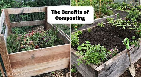 The Benefits Of Composting Why You Should Amend Your Soil