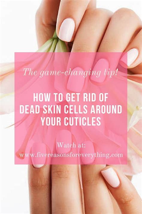 The Game Changing Tip How To Get Rid Of Dead Skin Cells Around Your