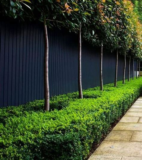 Awesome Fence With Evergreen Plants Landscaping Ideas 57 Black Garden