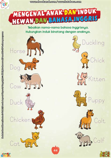Cara gampang lancar bahasa inggris. Mengenal Anak dan Induk Hewan dalam Bahasa Inggris | Ebook ...