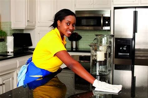 Domestic Housekeeping Services Household Housekeeping Services Residential Housekeeping