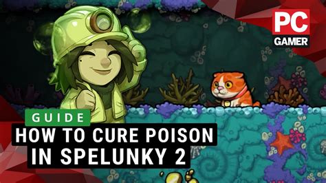 spelunky 2 how to cure poison guide youtube