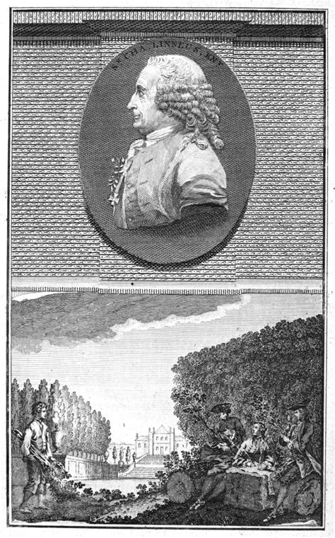 Carolus Linnaeus 1707 1778 Nswedish Physician And Botanist An 18th