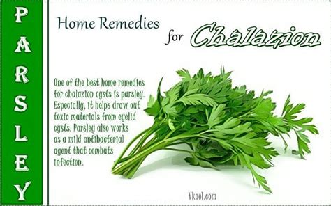 38 Natural Home Remedies For Chalazion Cysts Are Revealed Page 4