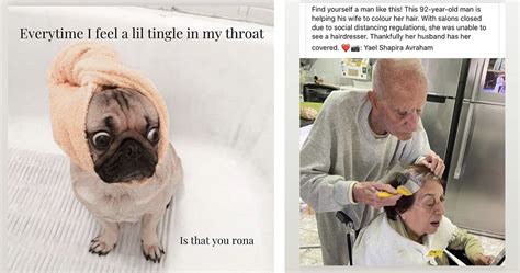 The fastest meme generator on the planet. marriage-covid-memes | Kate Drennan Photography