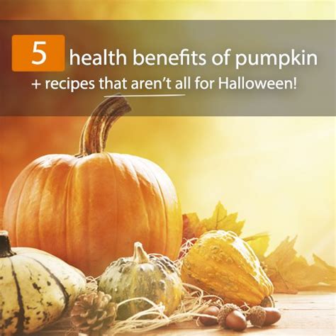 The Top 5 Health Benefits Of Pumpkin Recipes That Arent Just For