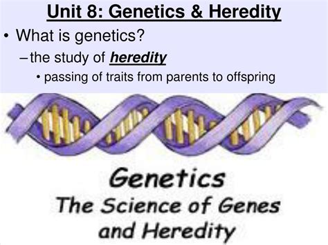 Ppt Unit 8 Genetics And Heredity Powerpoint Presentation Free