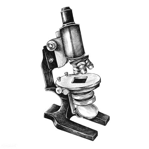 Compound Microscope Diagram Unlabeled Micropedia