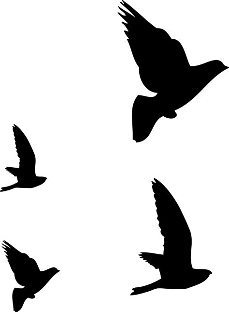Dibujos De Pájaros Volando Pájaros Volando Dibujos De Pájaro