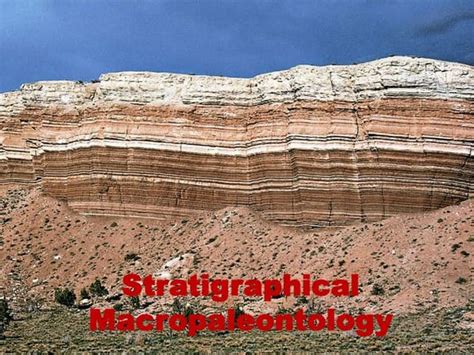 Earth Paleomaps History Of Continental Drift