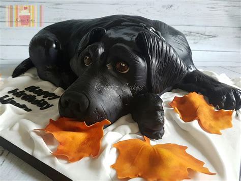 Black Labrador Decorated Cake By Kokoro Cakes By Kyoko Cakesdecor