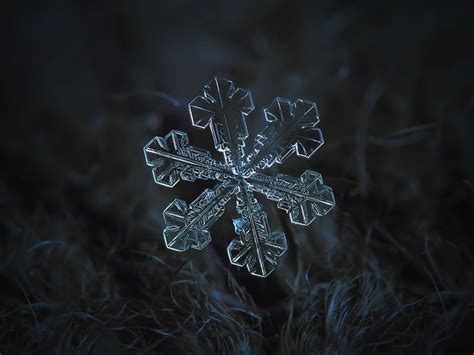 Beautiful Macro Photos Of Snowflakes As Free Wallpapers