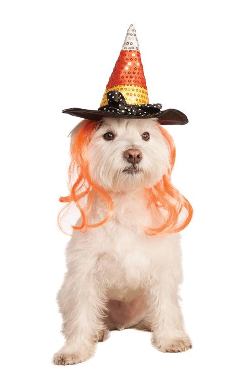 Candy Corn Hat Dog And Cat Costume Pet Costume Center